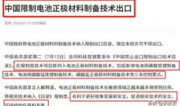 新嘉坡最新爆料,揭秘城市魅力背后的故事