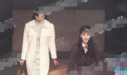 最新爆料陈都灵视频播放,精彩瞬间引网友热议