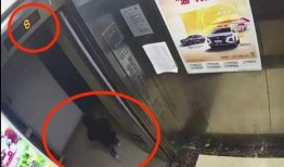 杭州爆料事件视频最新版,揭秘真相与争议再起